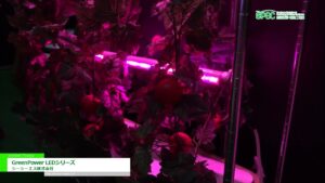 [施設園芸・植物工場展 2022  (GPEC 2022)] GreenPower LEDシリーズ – シーシーエス株式会社
