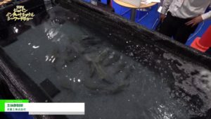 [第21回 ジャパン・インターナショナル・シーフードショー] 生体群制御 – 炎重工株式会社