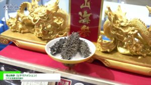 [第24回 ジャパン・インターナショナル・シーフードショー] 檜山海参（ヒヤマハイシェン） – ひやま漁業協同組合