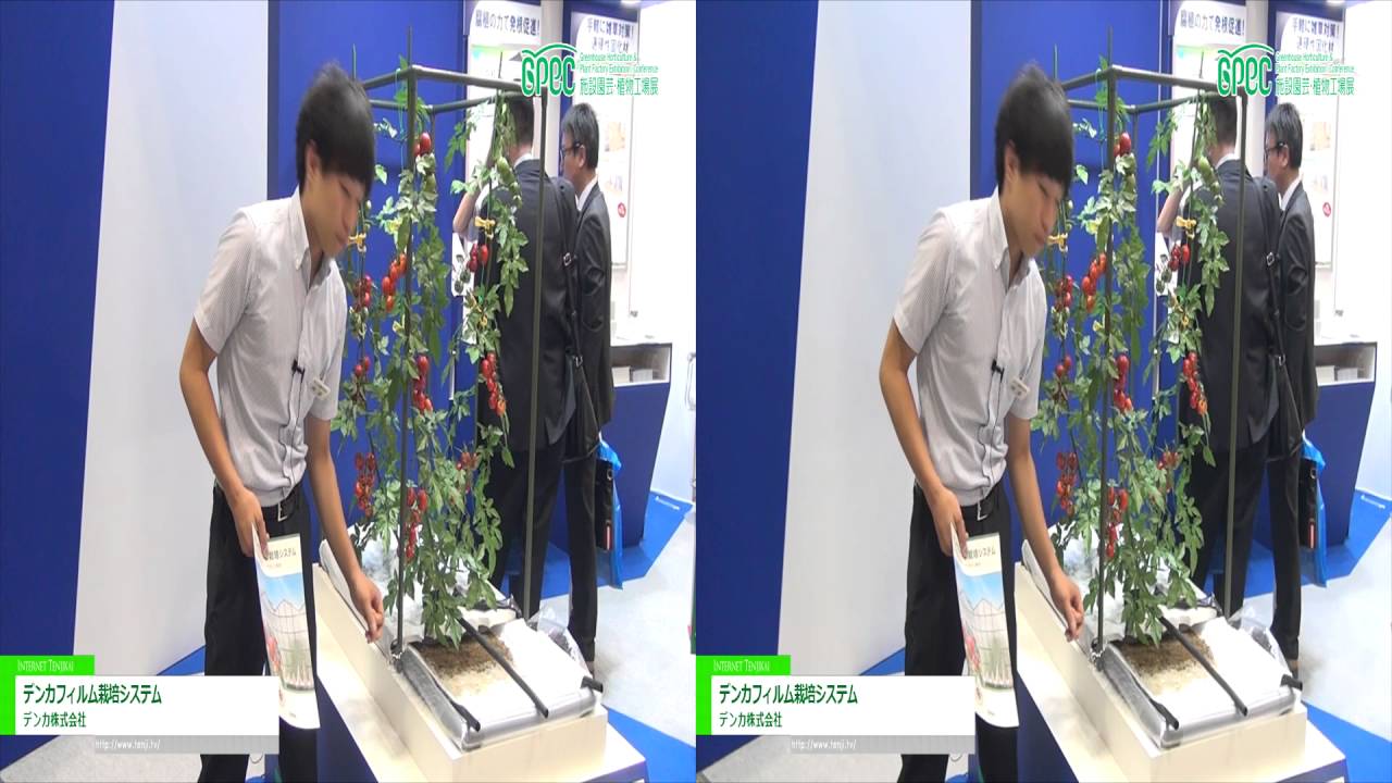 [3D] デンカフィルム栽培システム – デンカ株式会社