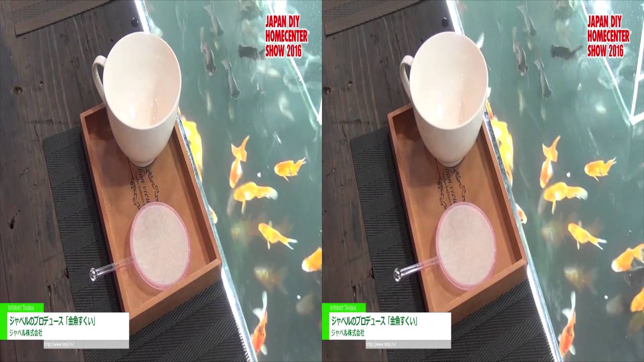[3D] ジャペルのプロデュース「金魚すくい」 – ジャペル株式会社