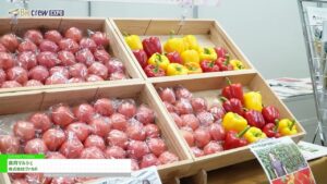 [Bizcrew EXPO 2024 SUMMER] 食育マルシェ – 株式会社ヴァカボ