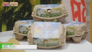 [JFEX SUMMER (第4回 国際 食品・飲料商談Week) 2024] 大和飼卵ーやまとじらんー – 農事組合法人セイメイファーム