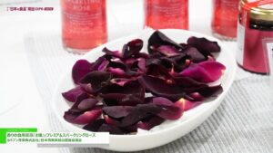[第9回 “日本の食品”輸出 EXPO WINTER 2024] 香りの食用薔薇『さ姫』/プレミアムスパークリングローズ – カネブン青果株式会社/日本青果実輸出促進協議会
