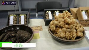 [ASTI-Show 2021] Food from Cheongju – 티카페 알케미