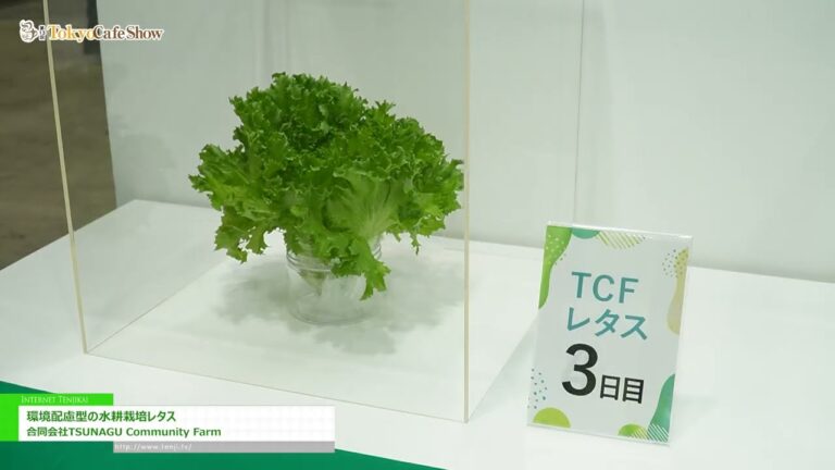 [第13回 Tokyo Cafe Show 2025] 環境配慮型の水耕栽培レタス – 合同会社TSUNAGU Community Farm