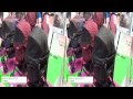 [3D] ペットカート コムペット ミリミリ – コンビ株式会社