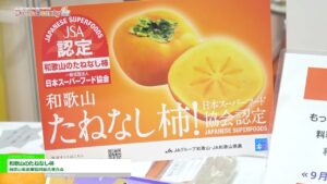 [DIET & BEAUTY FAIR 2021] 和歌山のたねなし柿 – 和歌山県農業協同組合連合会