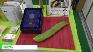 [DIET & BEAUTY FAIR 2021] 丹波なた豆茶 – 有限会社こやま園