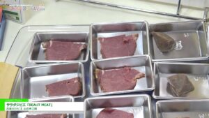 [DIET & BEAUTY FAIR 2021] サラダジビエ「BEAUT MEAT」 – 古座川ジビエ 山の光工房