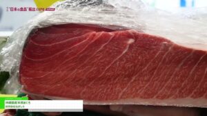[第8回 “日本の食品”輸出 EXPO SUMMER 2024] 沖縄県産天然まぐろ – 合同会社ながしろ