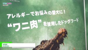 [第12回インターペット] SEBEK – INUMESHI
