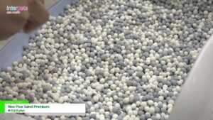 [第12回インターペット] Neo Plus Sand Premium – 株式会社plus