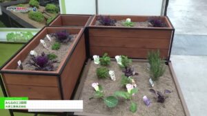 [第8回 JAPAN BUILD TOKYO－建築の先端技術展－] みんなのエコ菜園 – 大建工業株式会社