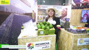 [FRUIT LOGISTICA 2023] アボカド、オニオン、ピタハヤ、ゴールデンベリー – PREFECTURA DE PICHINCHA