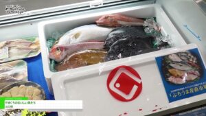 [第26回「ジャパン・インターナショナル・シーフードショー」(2024)] やまぐちのおいしい魚たち – 山口県