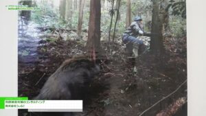 [アグロ・イノベーション／みどりの食料システム EXPO 2025] 鳥獣被害対策のコンサルティング – 株式会社うぃるこ