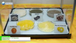 [nano tech 2024 第23回 国際ナノテクノロジー総合展・技術会議] 柑橘由来機能性ペースト「MaCSIE」 – 愛媛製紙株式会社