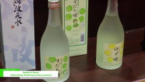[JAPAN SELECTION 2024] Sudashi Hime – Tokushima Prefectural Government