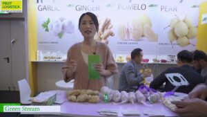 [FRUIT LOGISTICA 2023] ガーリック、ジンジャー、ポメロ、アップル・ペア、フルーツ – Green Stream