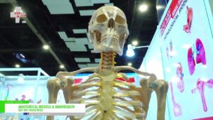 [Medical Fair India 2023] 解剖模型・マネキン – KAY KAY INDUSTRIES