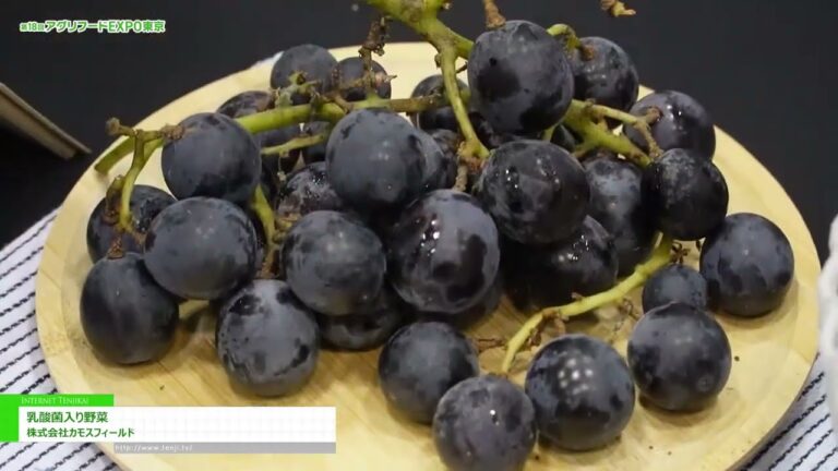 [第18回 アグリフードEXPO東京2025] 乳酸菌入り野菜 – 株式会社カモスフィールド