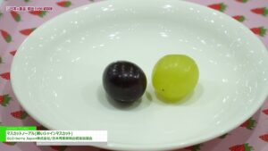[第9回 “日本の食品”輸出 EXPO WINTER 2024] マスカットノーアル(黒いシャインマスカット) – GLO-berry Japan株式会社/日本青果実輸出促進協議会